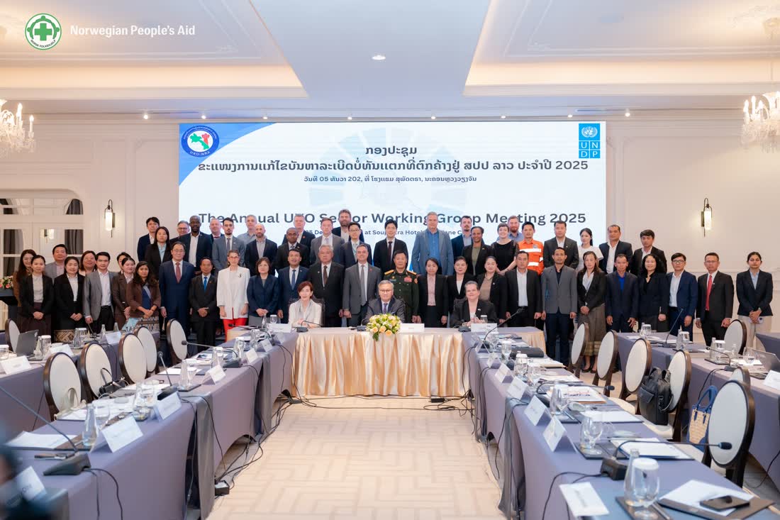 Annual UXO Sector Working Group Meeting 2025 group photo